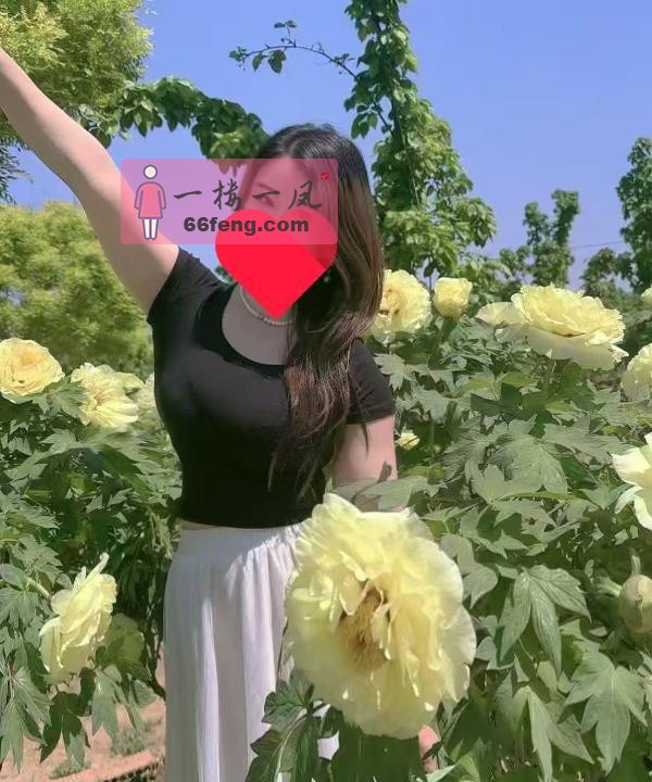 包河区气质大奶御姐