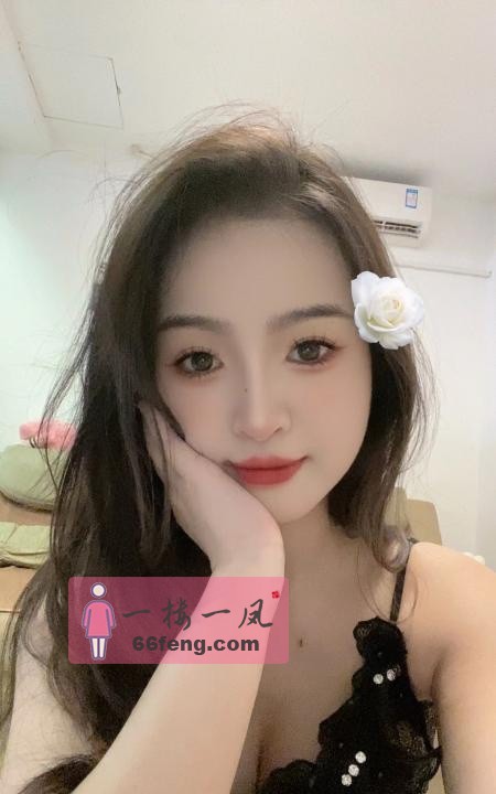东莞依晨