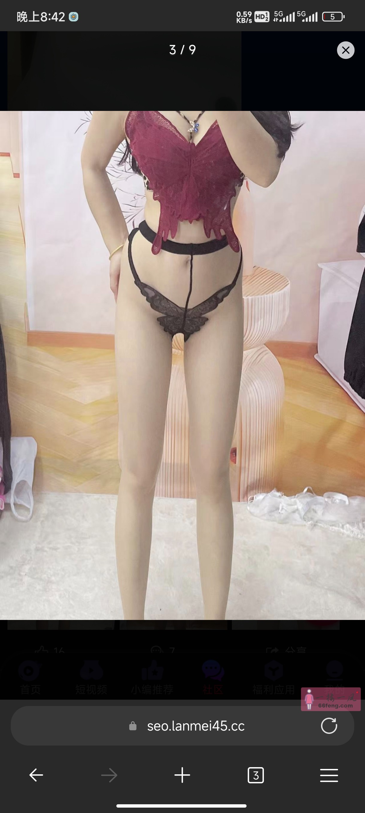 钱塘下沙大白菜